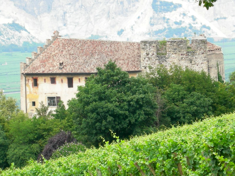 Castelli,Torri e Palazzi.....del Trentino